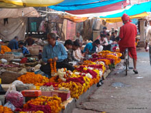 Jaipur - Inde